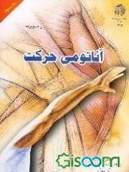 آناتومی حرکت