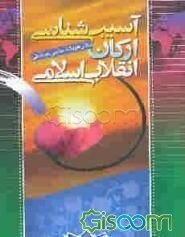 آسیب‌شناسی ارکان انقلاب اسلامی