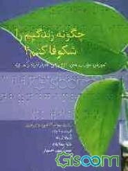 چگونه زندگیم را شکوفا کنم؟ آموزش مهارت‌های لازم برای افراد کم‌بینا و نابینا