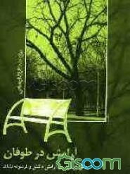 آرامش در طوفان: عوامل موثر در آرامش داشتن و فرسوده نشدن ویژه مددکاران اجتماعی