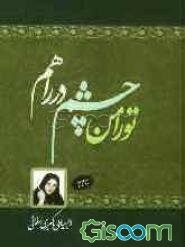 تو را من چشم در راهم (مجموعه داستان)