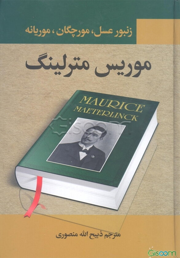 زنبور عسل، مورچگان و موریانه