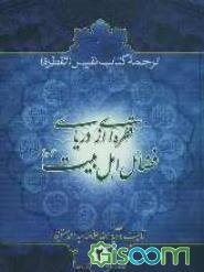 قطره‌ای از دریای فضائل اهل بیت (ع) ترجمه کتاب نفیس القطره (جلد 2)