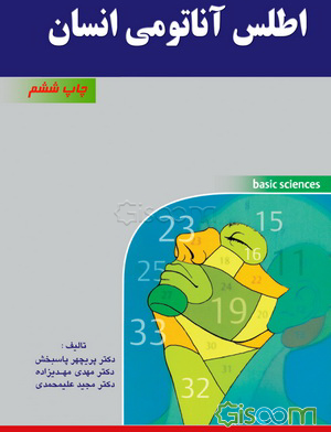 اطلس آناتومی انسان