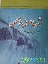 شرح عوامل ملامحسن