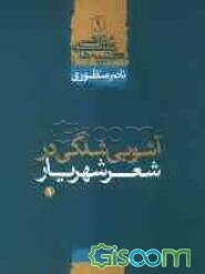 آشوبی شدگی در شعر شهریار (جلد 1)