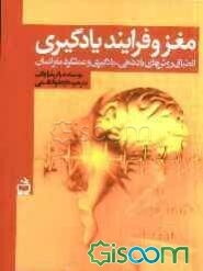 مغز و فرایند یادگیری: انطباق روشهای یاددهی - یادگیری و عملکرد مغز انسان