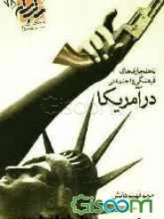 ناهنجاریهای فرهنگی و اجتماعی در آمریکا