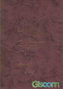 تاریخ کامل (جلد 8)