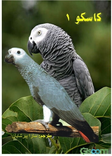 کاسکو 1: طوطی طوسی آفریقایی