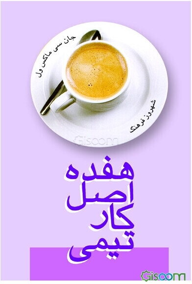 17 اصل کار تیمی