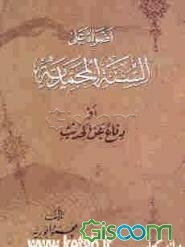 اضواء علی السنه المحمدیه، او، دفاع عن الحدیث