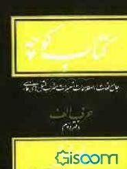 کتاب کوچه: جامع لغات، اصطلاحات، تعبیرات، ضرب المثلهای فارسی: حرف الف دفتر دوم (جلد 2)