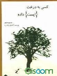 کسی به درخت ایست داده