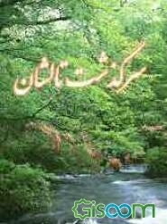 سرگذشت تالشان: تالشان جنوبی (غرب گیلان) ایران: آستارا، تالش، رضوانشهر، ماسال و شاندرمن