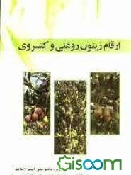 ارقام زیتون روغنی و کنسروی