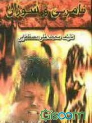 نامریی و سوزان