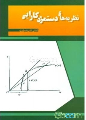 نظریه‌های دستمزد کارایی