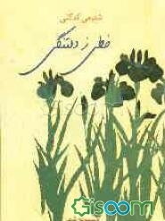 خطی ز دلتنگی (مجموعه شعر)