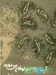 آن زن که در طوفان می‌دوید