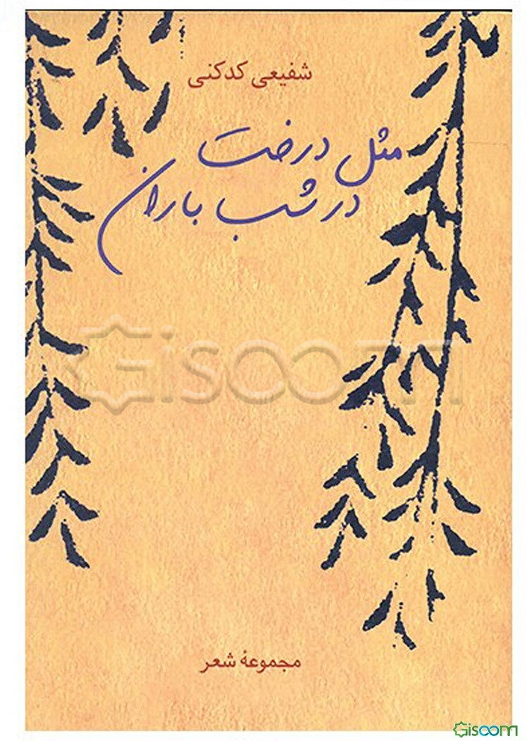 مثل درخت در شب باران: مجموعه شعر