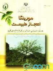 مورینگا، اعجاز طبیعت