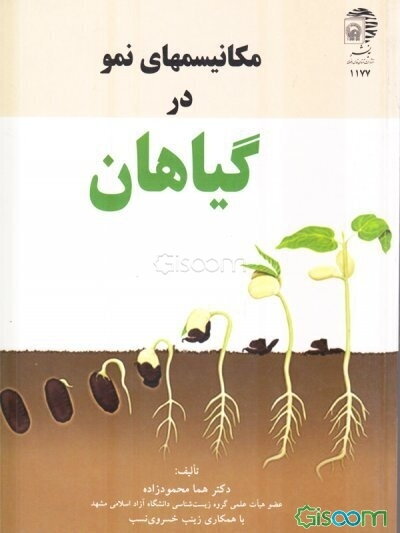 مکانیسمهای نمو در گیاهان