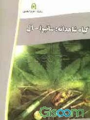 گیاه شاهدانه: ساتیوا - ال