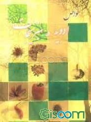 خواص ادویه و سبزیجات