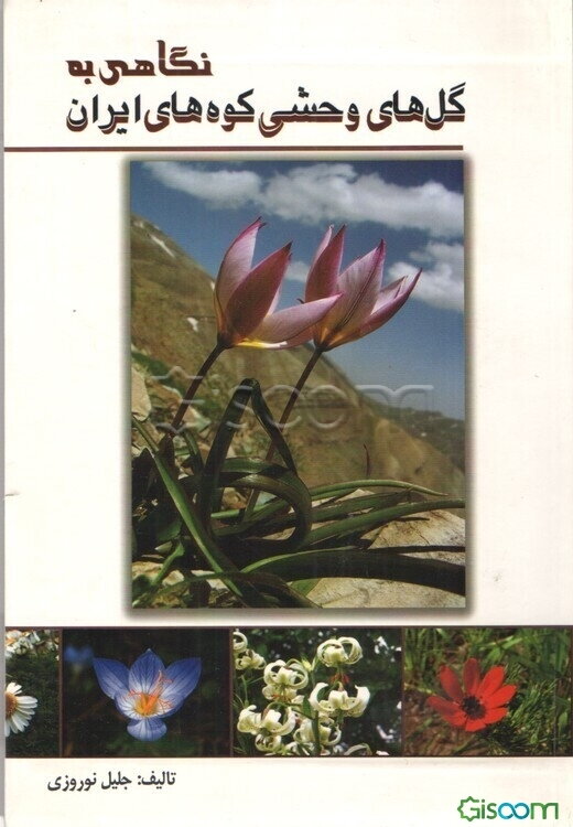 نگاهی به گل‌های وحشی کوه‌های ایران