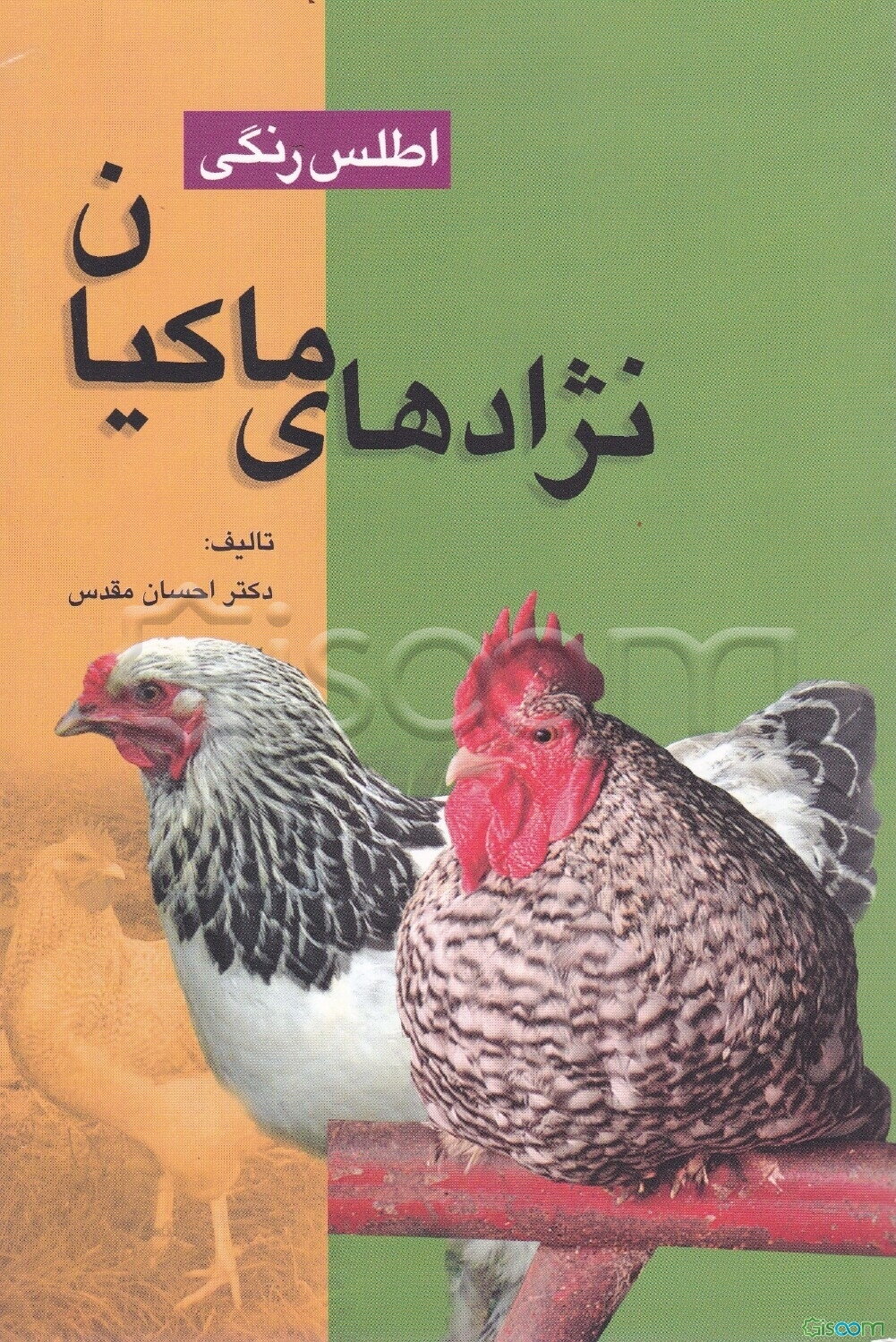 اطلس رنگی نژادهای ماکیان