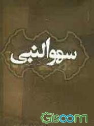بررسی روایات سهو النبی (ص)