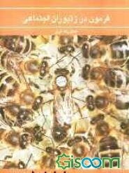 فرمون در زنبوران اجتماعی