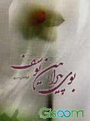 بوی پیراهن یوسف