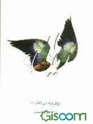 رهایی (روان‌درمانی اعتیاد)