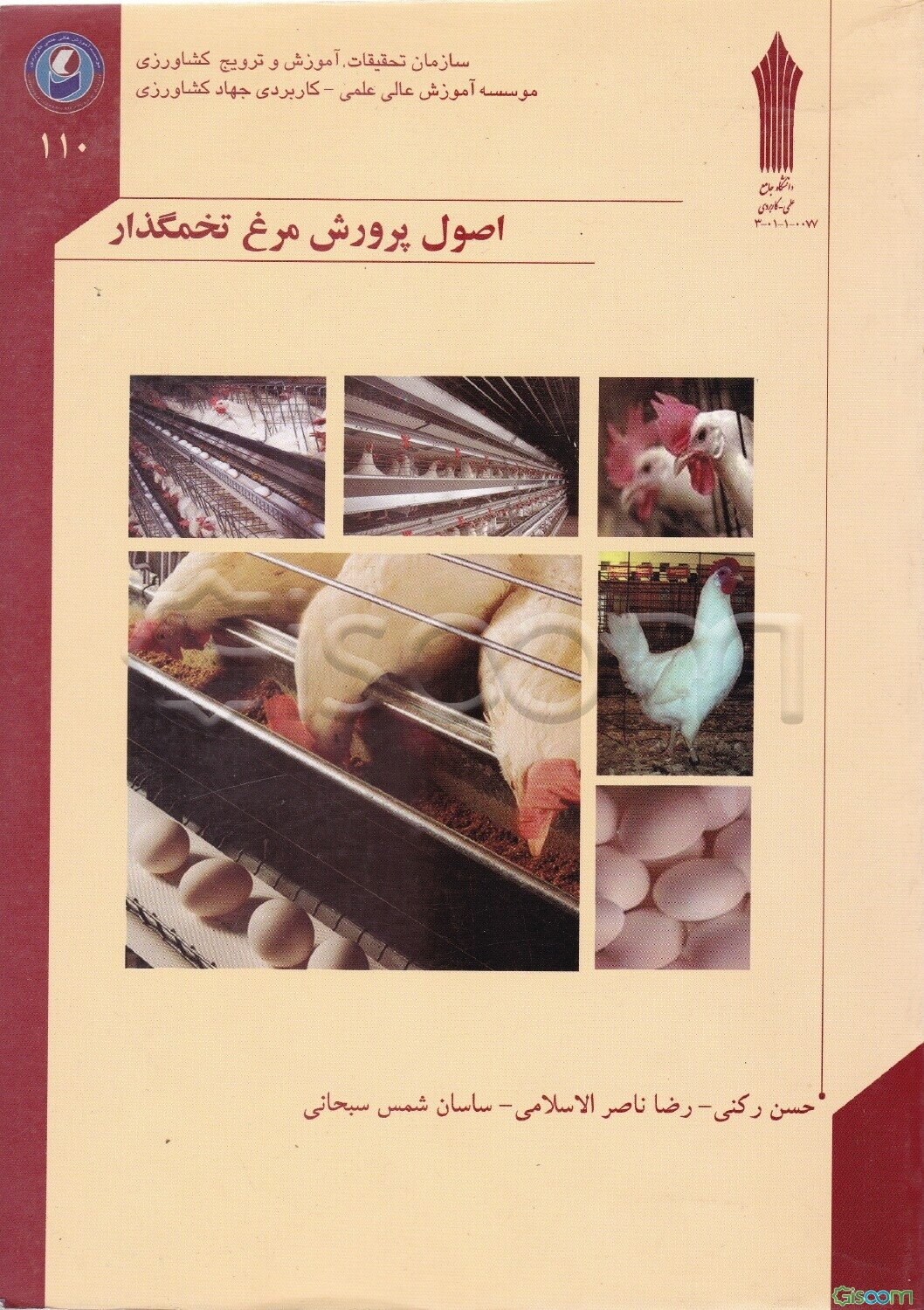 اصول پرورش مرغ تخمگذار