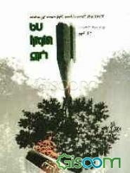 کتاب پایداری 89:  مجموعه آثار منتخب اولین جشنواره‌ی داستان کوتاه پایداری (داستانهای کوتاه کوتاه) (جلد 1)