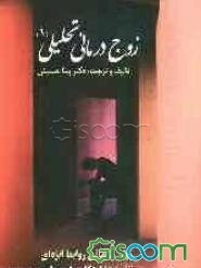 زوج‌درمانی تحلیلی: روان‌درمانی روابط ابژه‌ای، نظریه دلبستگی (جلد 1)