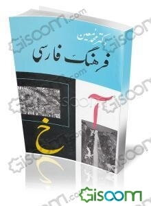 فرهنگ فارسی: (آ - خ) (جلد 1)