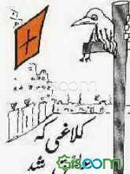 کلاغی که عاشق شد
