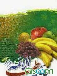 جامع طب الائمه (ع)