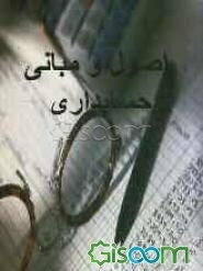 اصول و مبانی حسابداری