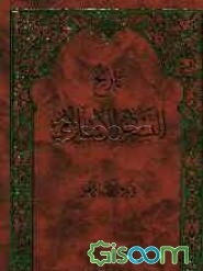 تاریخ التشریع الاسلامی