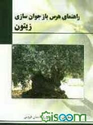 راهنمای هرس بازجوان‌سازی زیتون