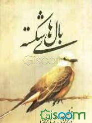 بالهای شکسته