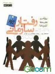 رفتار سازمانی: گروه (جلد 2)