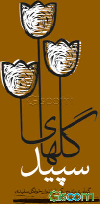 گل‌های سپید: روایت 24 سال عاشقی (یادنامه 24 شهید روستای گل سفید شهرستان لنگرود)