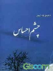 چشم احساس: مجموعه شعر