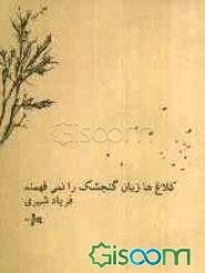 کلاغ‌ها زبان گنجشک را نمی‌فهمند