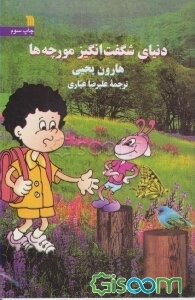 دنیای شگفت‌انگیز مورچه‌ها